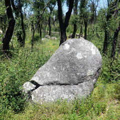 Capmany, Menhir Vidal